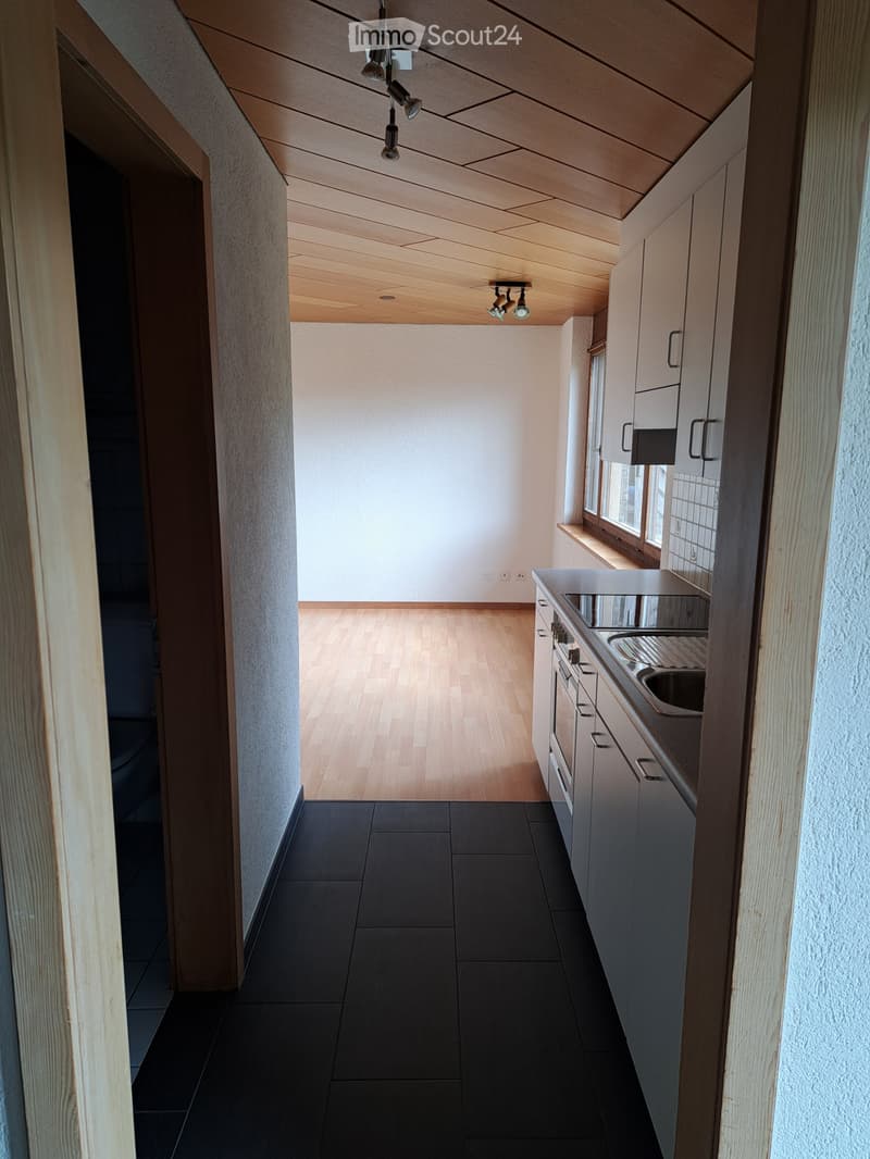Studio zu vermieten (3)