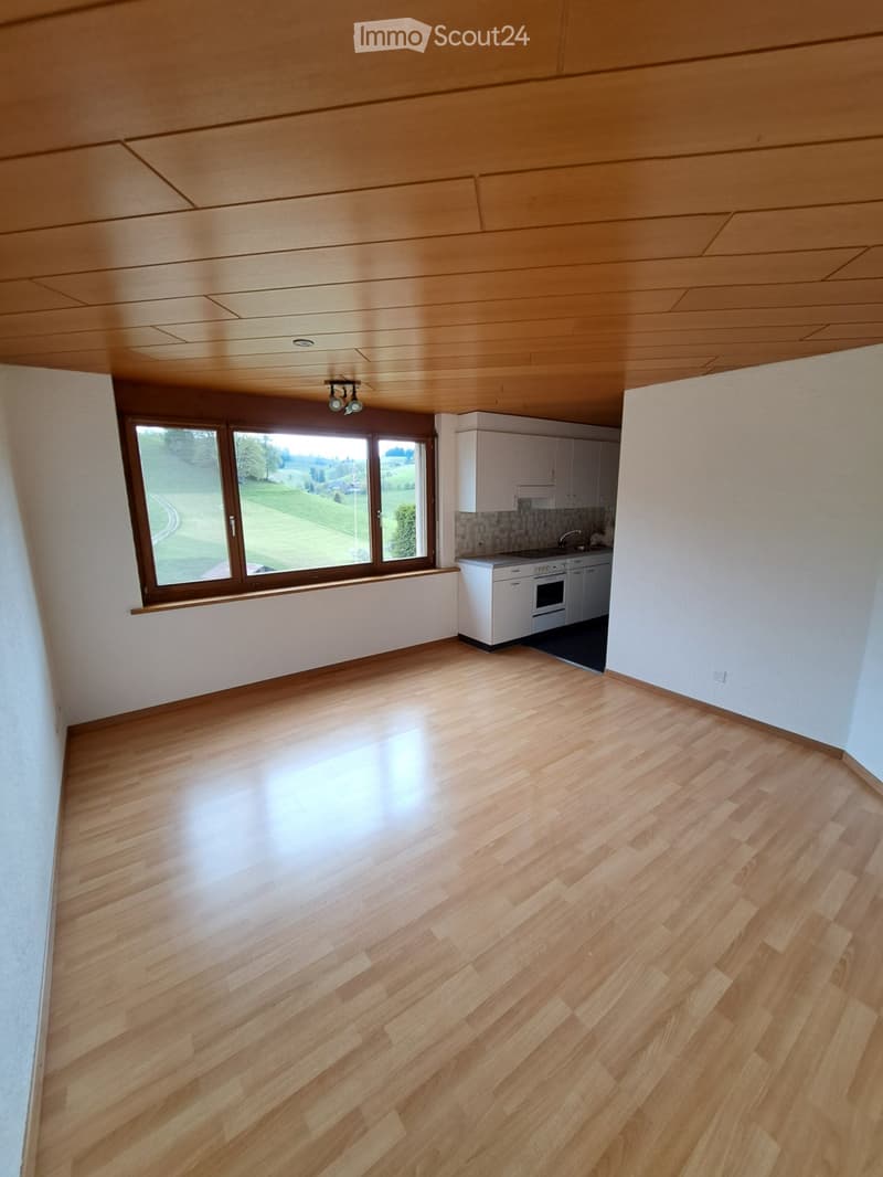 Studio zu vermieten (1)