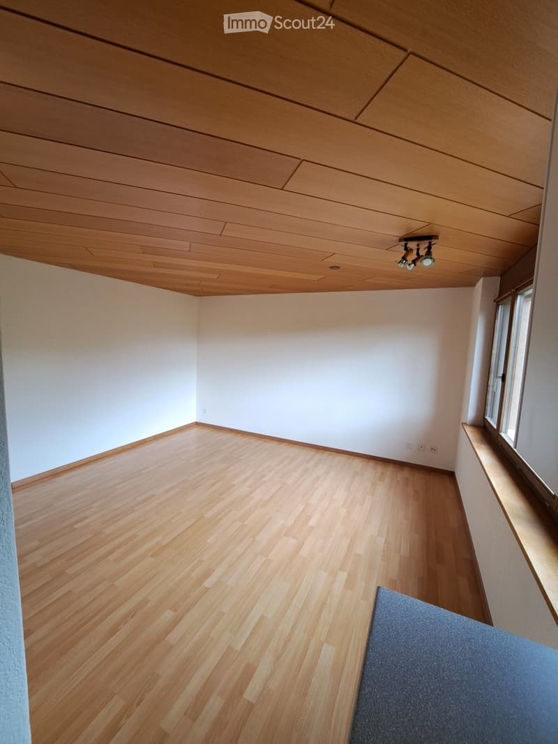Studio zu vermieten (5)