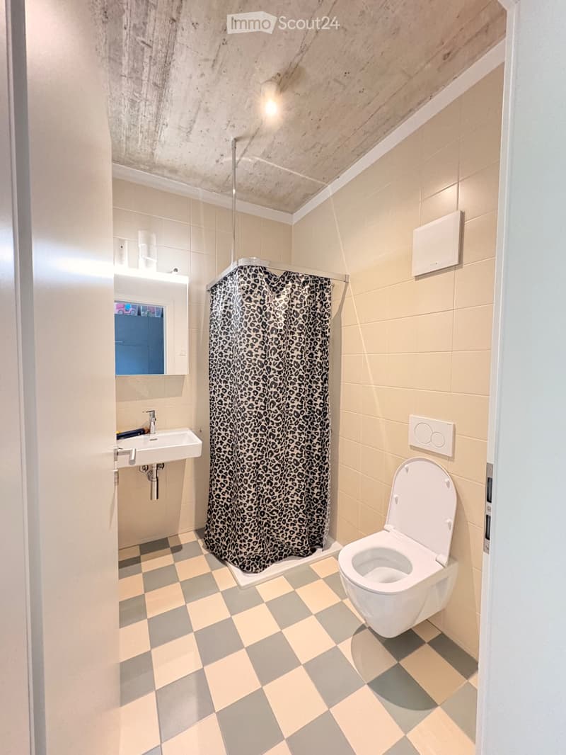 2,5 Zimmer Wohnung in Burgdorf (4)