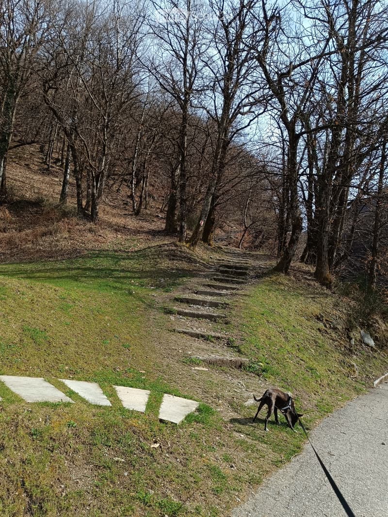 2.5 locali a 1'375 TC (1)