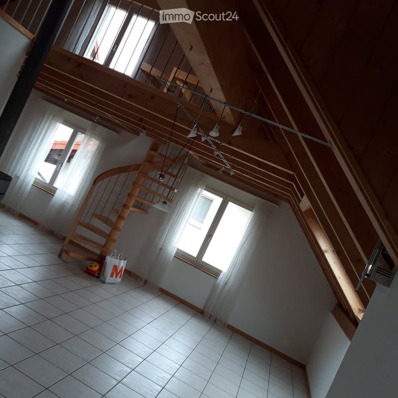 3,5-Zimmerwohnung (2)