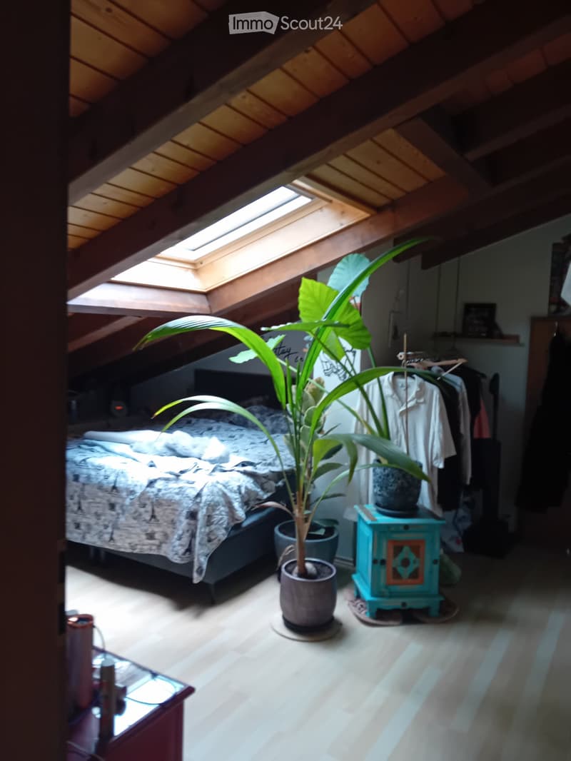À louer (5)