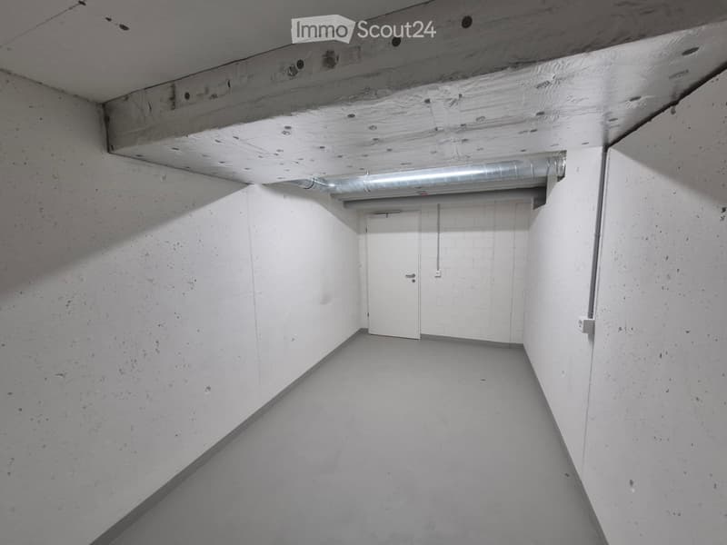 Salle de bricolage / Salle de loisirs en sous-sol (2)
