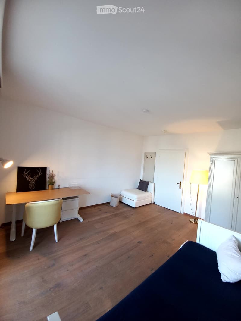 Bright room with lake view in Ermatingen. All inclusive. (7)