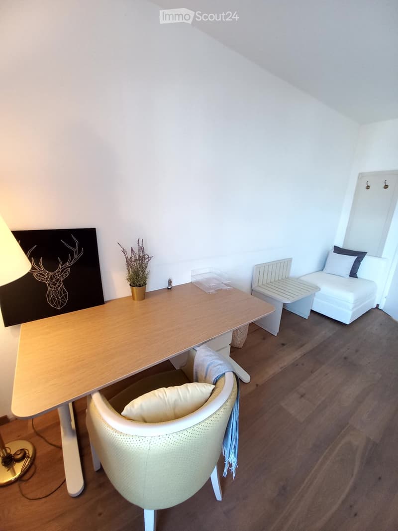 Bright room with lake view in Ermatingen. All inclusive. (5)