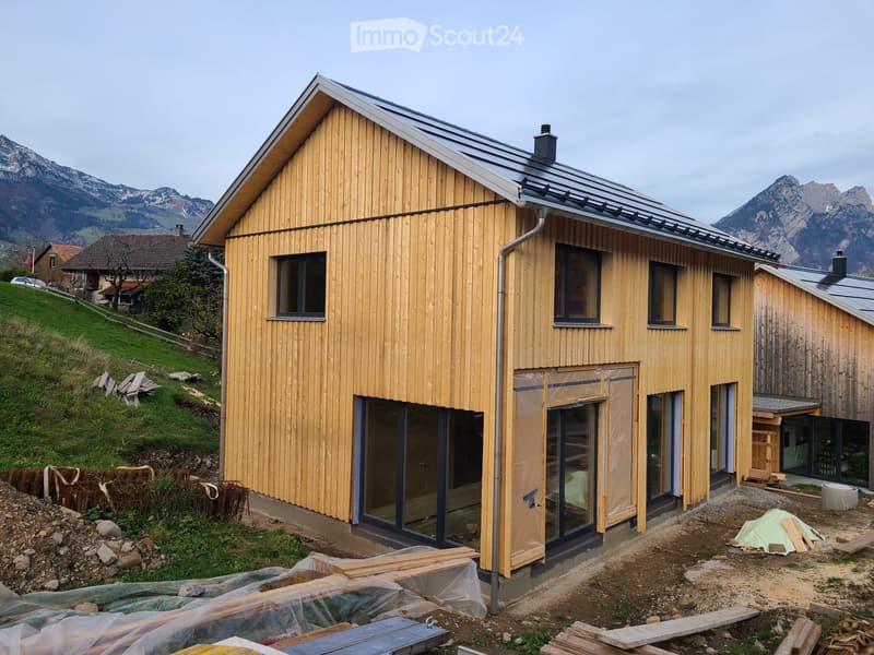Detached single-family house (1)