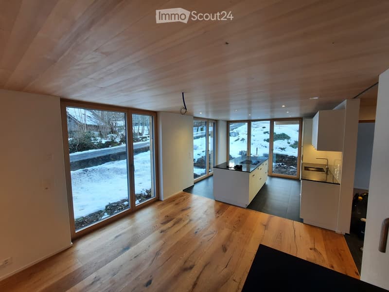 Detached single-family house (3)
