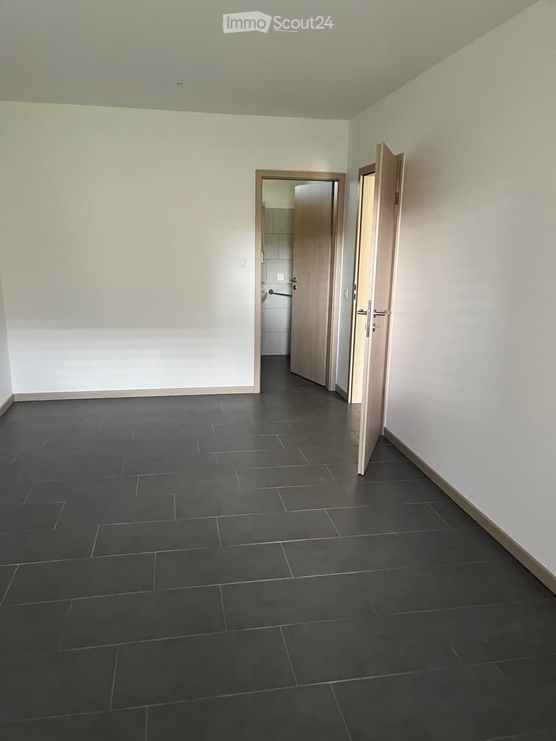 Affittasi moderno appartamento a Stabio (4)