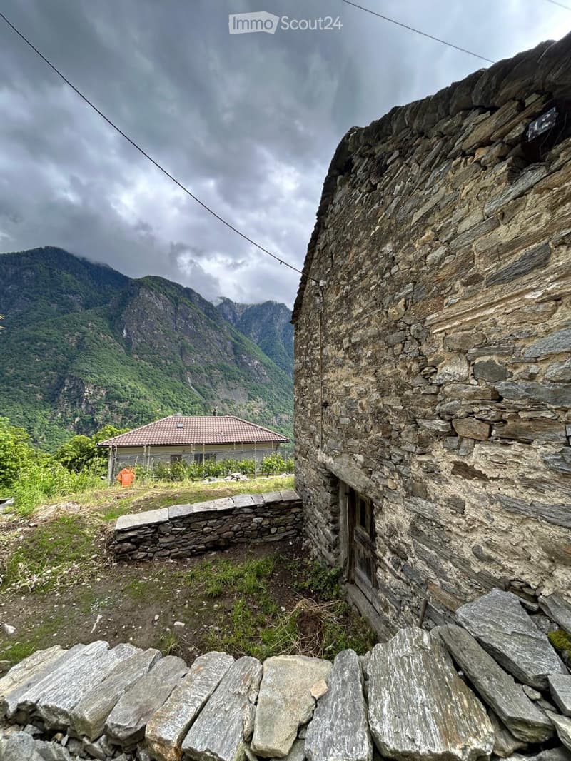 Rustico (1)
