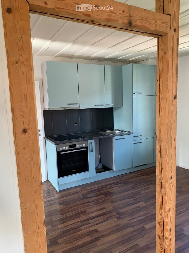 Appartamento 2,5 locali a Oberdiessbach (3)