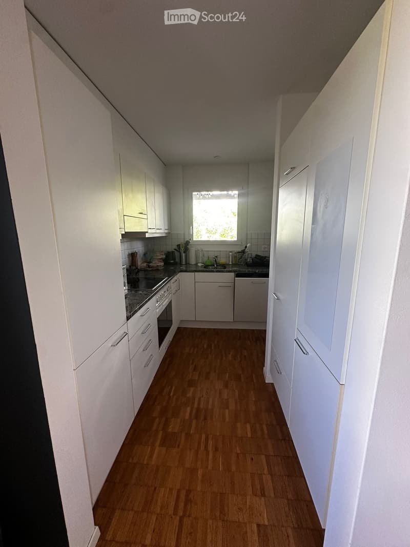 Appartement lumineux de 2,5 pièces (3)