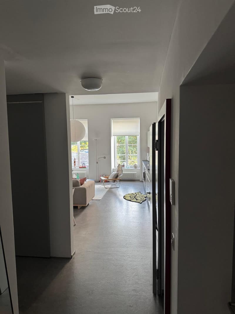 Loft Wohnung (4)