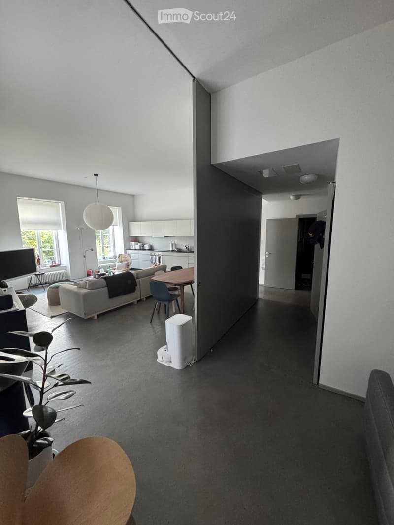 Loft Wohnung (3)