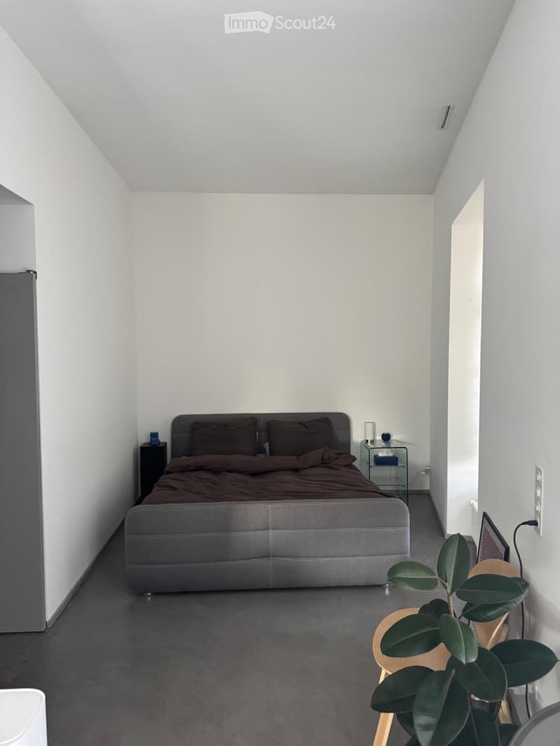 Loft Wohnung (5)
