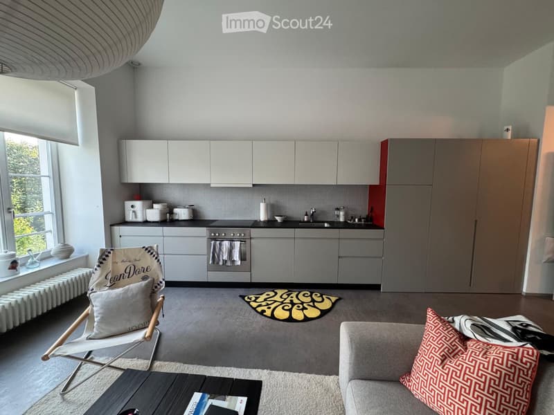 Loft Wohnung (2)