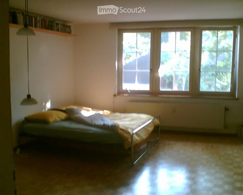 1-room apartment for subletting in Basel Old Town (1)