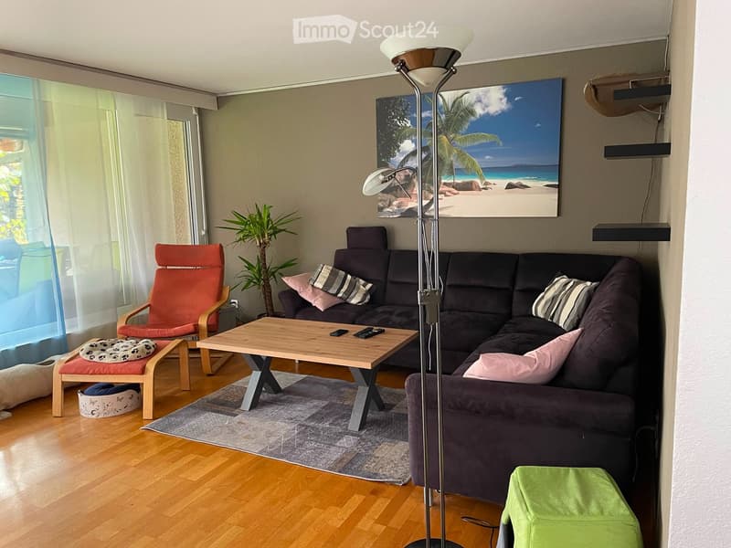 Charming 8.5-room semi-detached house (4)