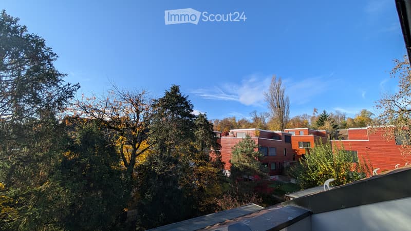 Renovierte 3.0-Zi-Wohnung an bester Lage (1)