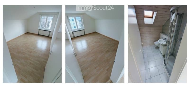Renovierte 3.0-Zi-Wohnung an bester Lage (3)