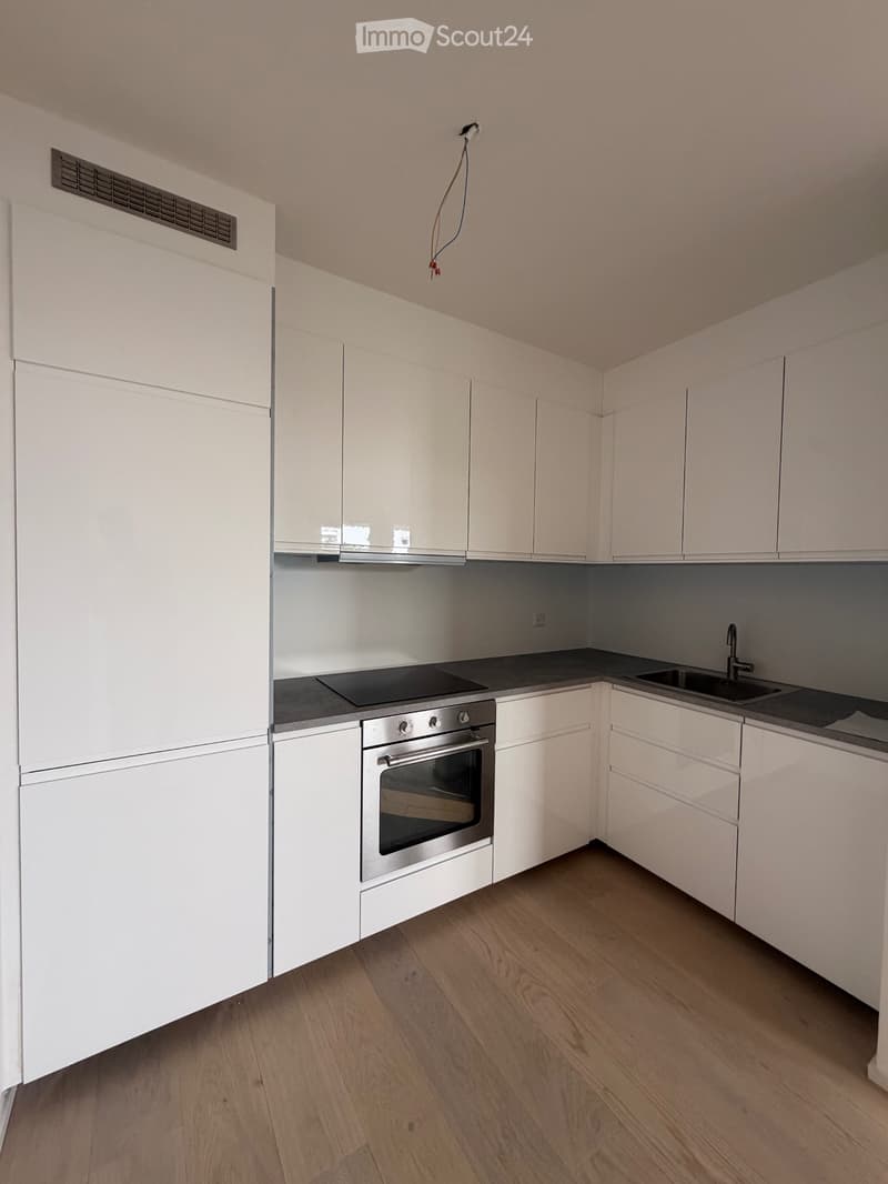 Affitto appartamento 2.5 locali rinnovato con giardino (4)