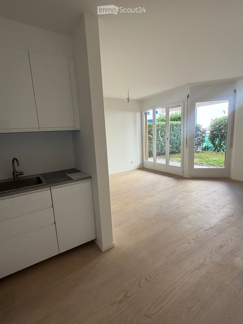 Affitto appartamento 2.5 locali rinnovato con giardino (1)