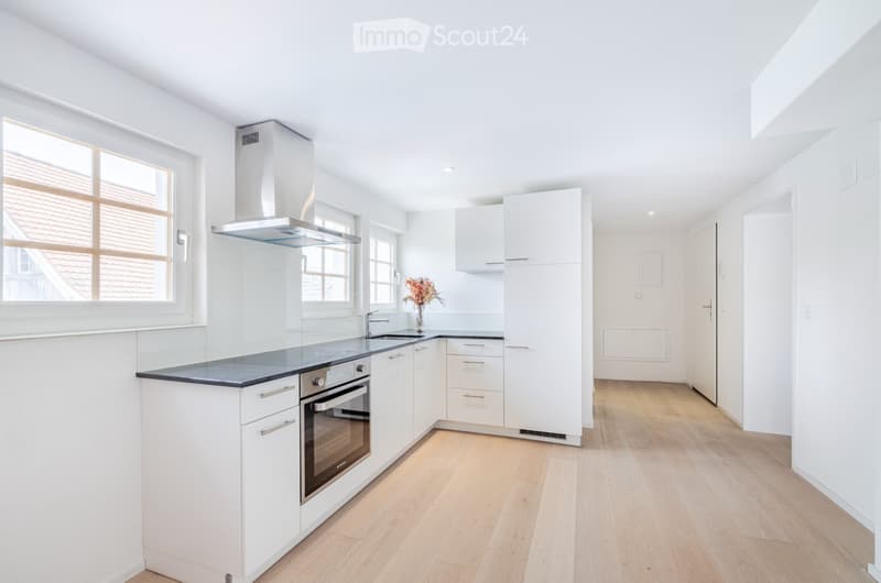 1.5 Zimmer Studio im Zentrum, Aussicht, Neu Renoviert (4)