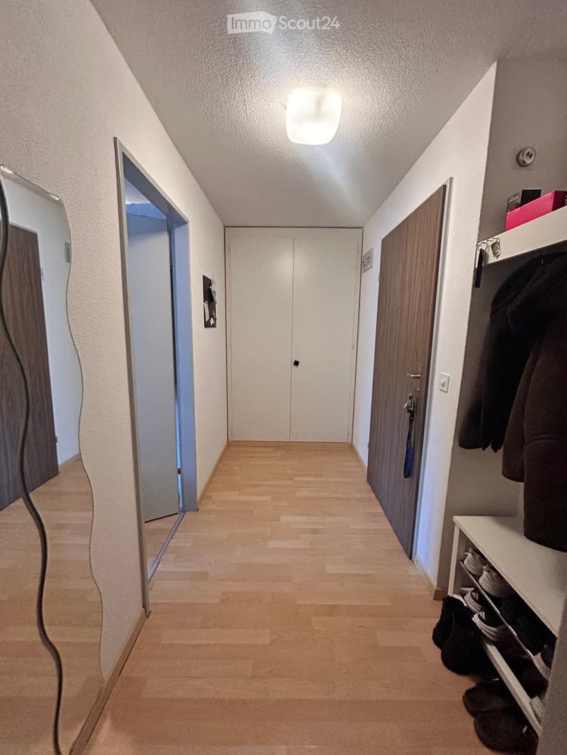Appartamento 1.5 locali a Düdingen (4)