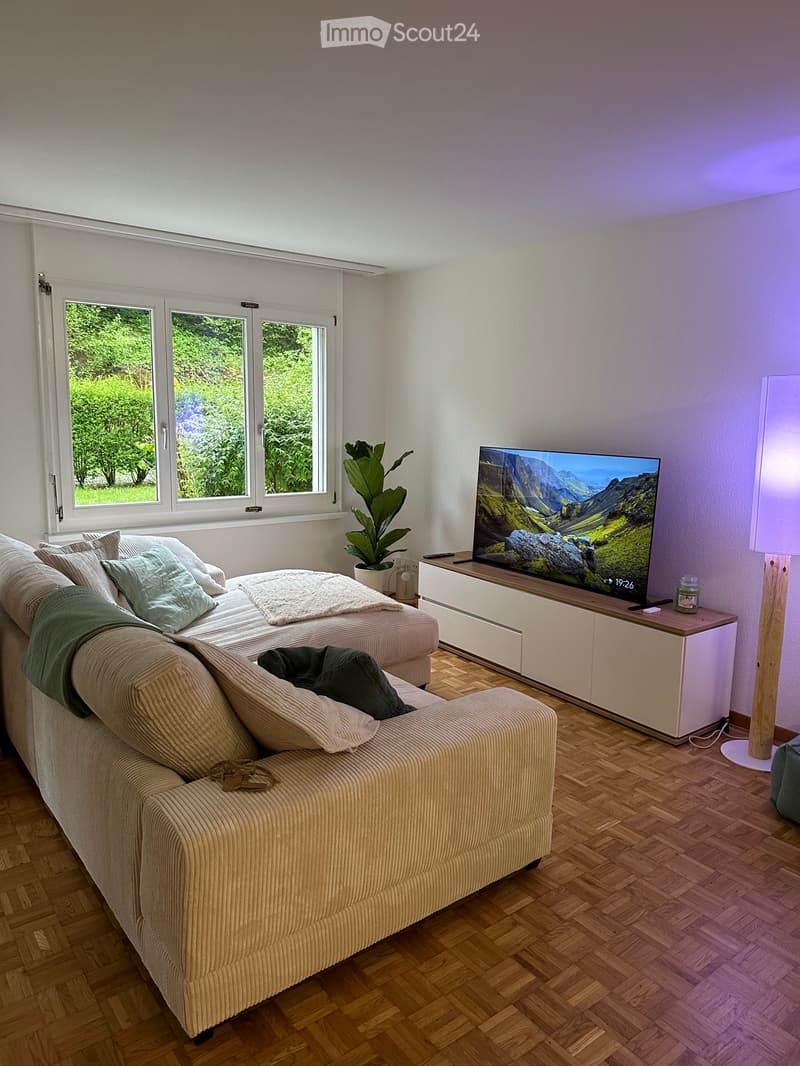 3 ½ Zimmer-Wohnung (1)