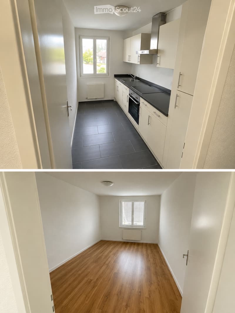 4.5-Zimmer-Wohnung in Steckborn zu vermieten / Untermieter (3)