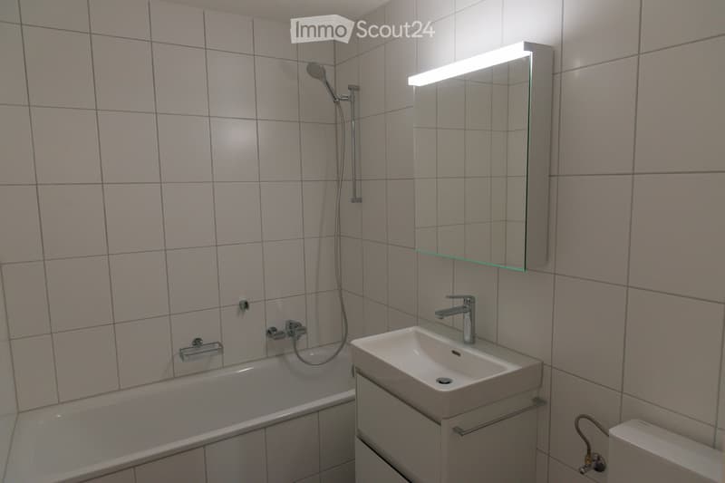 Erstvermietung nach Total-Sanierung im Meierhof Olten (3)