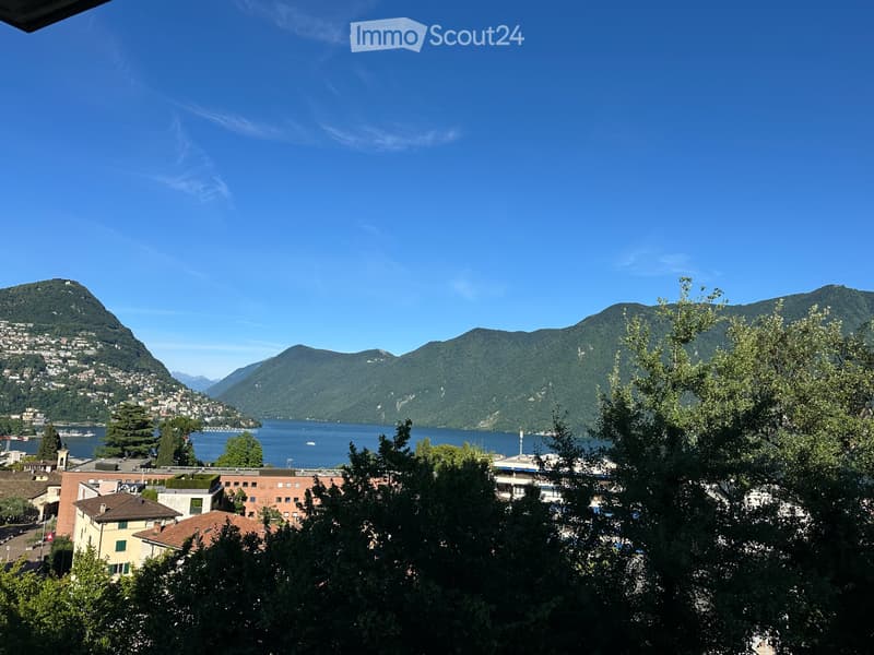 Si affittano camere ammobiliate a Lugano (2)