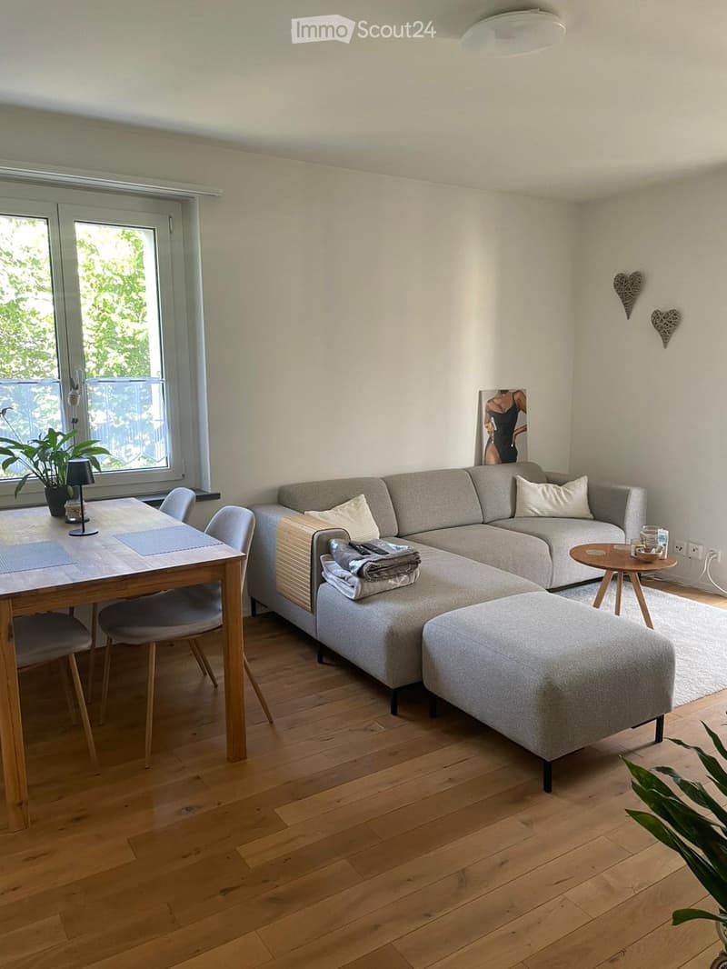 Furnished 3-room apartment in Bern from Nov. 2026 - July 2027 (1)