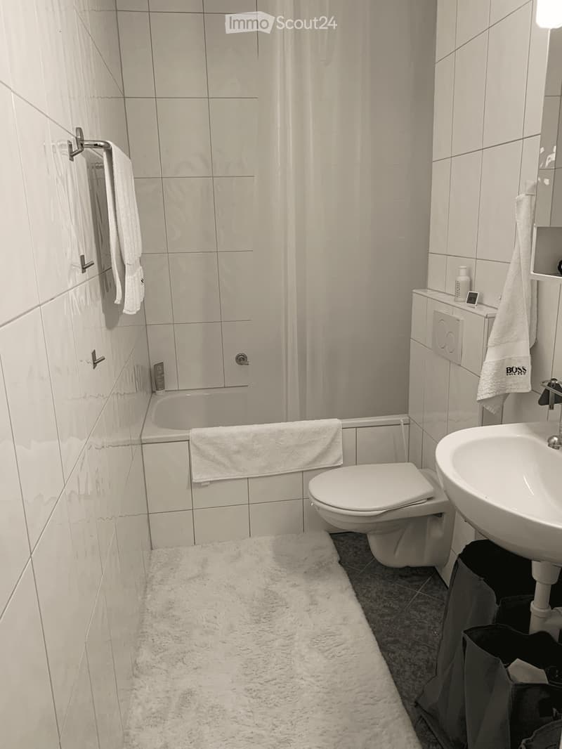 Furnished TEMPORARY 2-room apartment (October + November) (3)