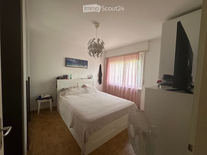 Cercasi subentrante app. 2.5 Massagno (4)