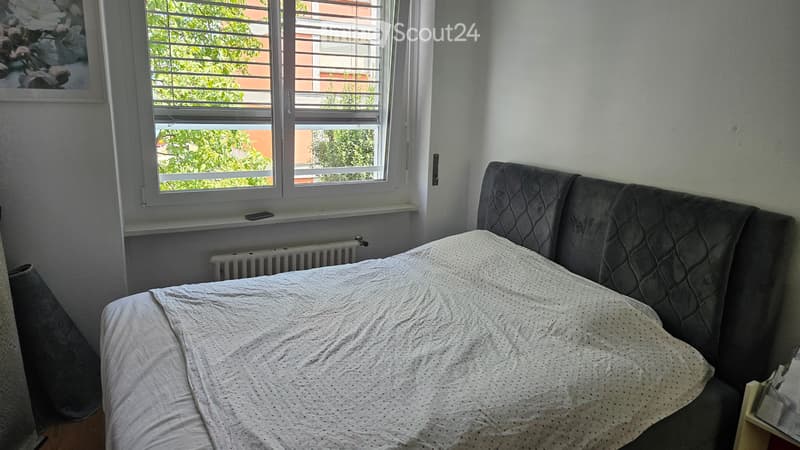 Appartamento 3.5 locali e mezzo a massagno a 1 mese gratis (5)