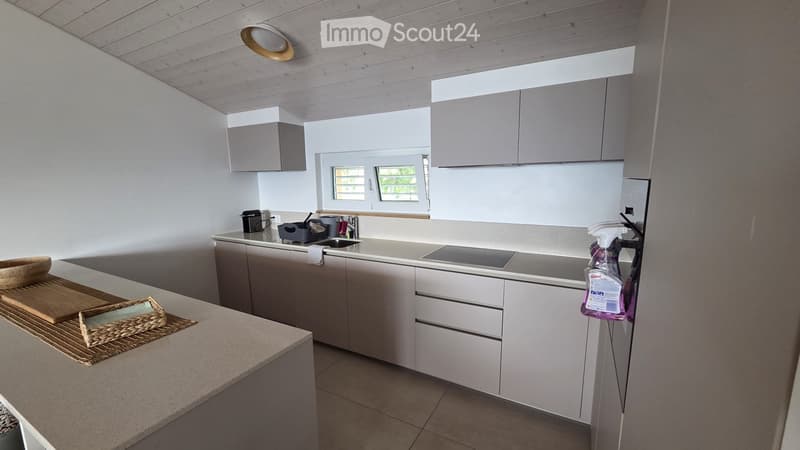 SUBENTRANTE DUPLEX: 4.5 LOCALI - BOSCO LUGANESE - Bellissimo (3)
