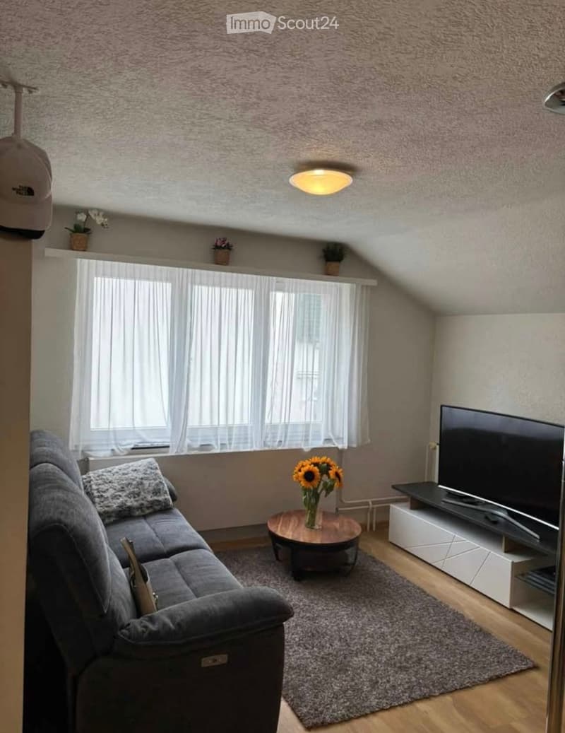 Appartement 2,5 pièces (1)