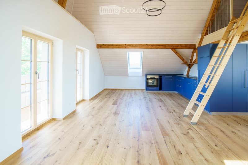 Schöne helle Dachwohnung zu vermieten (2)