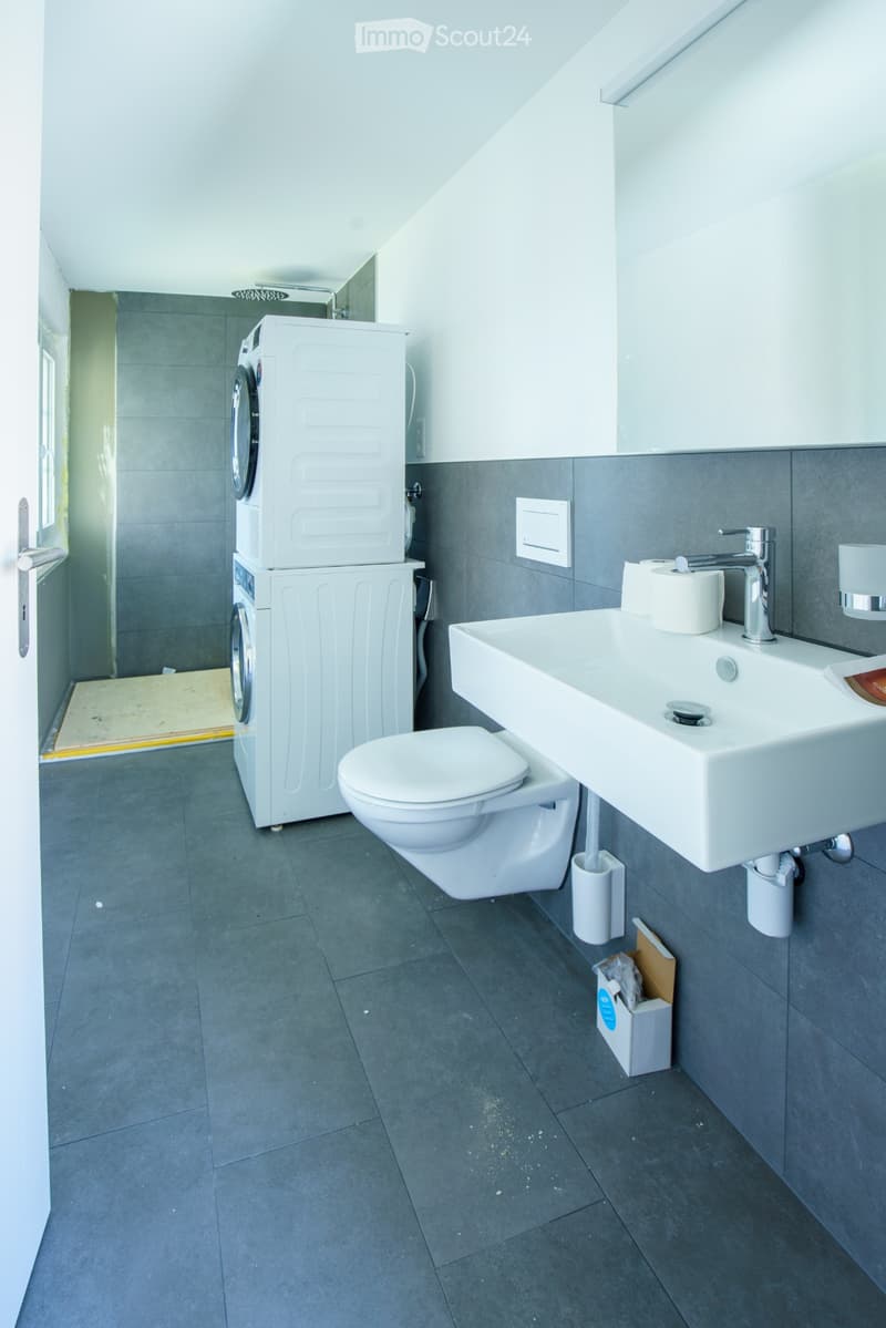 Schöne helle Dachwohnung zu vermieten (4)