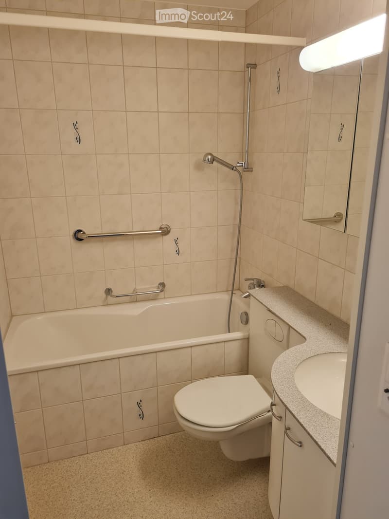 Schöne Wohnung an zentraler Lage in Therwil (3)