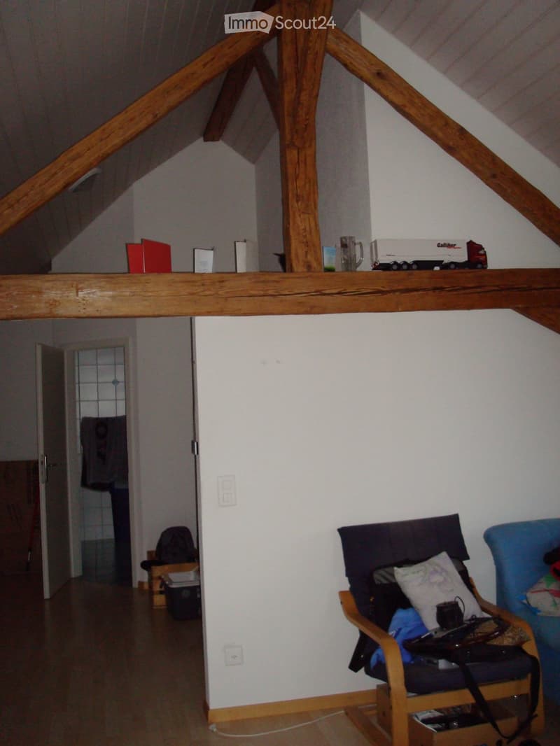 2 1/2 Zimmer-Dachwohnung auf dem Land in Waldnähe (3)