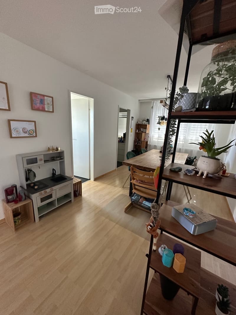 Appartement spacieux 4.5 pièces avec grande terrasse sur le toit (3)