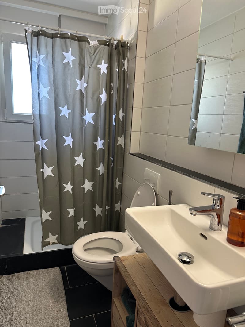 Appartement spacieux 4.5 pièces avec grande terrasse sur le toit (4)