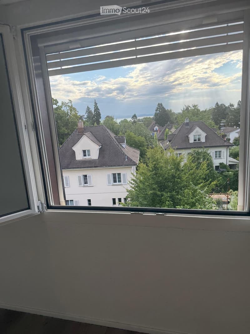 Seeblick: 3-Zimmer-Wohnung im Altbau am Boulevard - SOFORT (1)