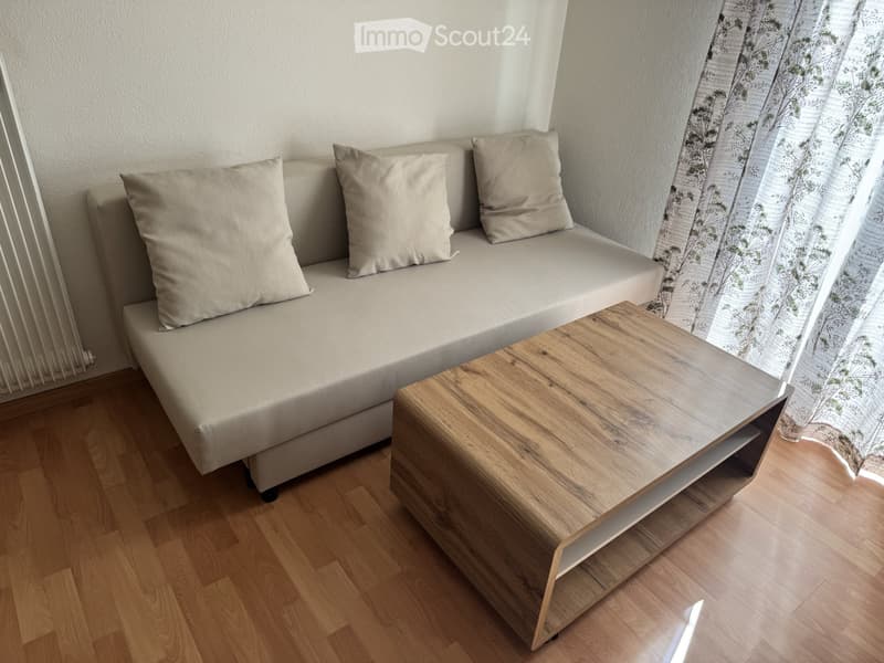 Furnished 3.5 room apartment with 2 secondary rooms (2)