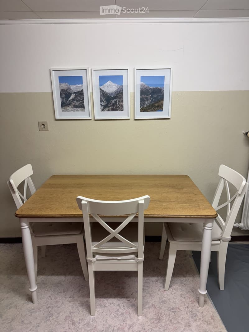 Furnished 3.5 room apartment with 2 secondary rooms (4)