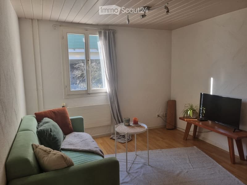 Appartement de charme ouvert 2 pièces dans un immeuble ancien avec balcon (3)