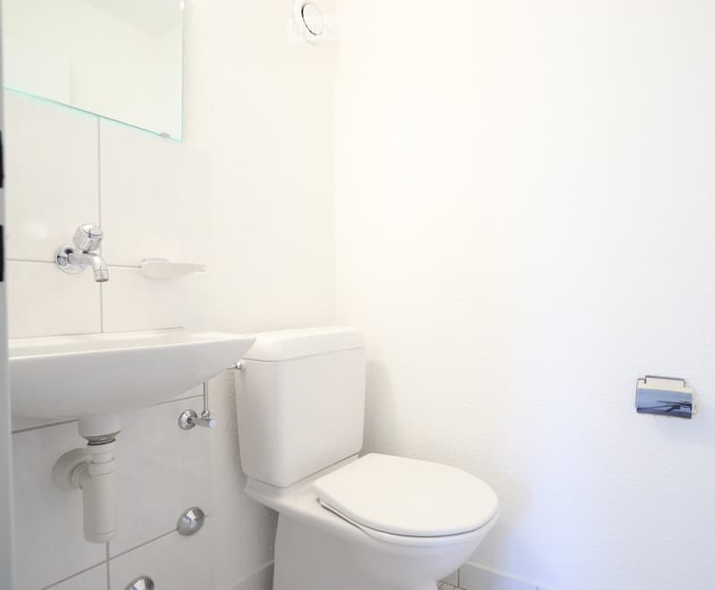 Appartement familial de 4,5 pièces lumineux dans un quartier calme (3)