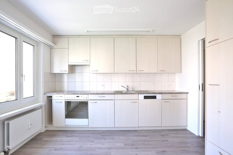 Appartement familial de 4,5 pièces lumineux dans un quartier calme (1)